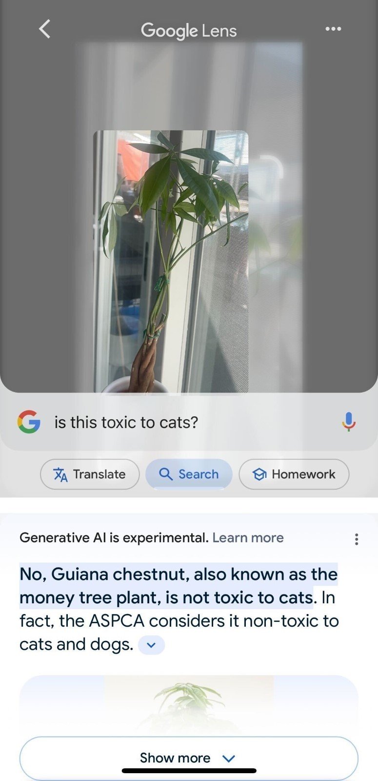 Busqueda con Google Lens basada en Inteligencia Artificial